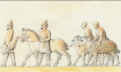 1. Cheval, 2. Béliers (d´après Un Bas-relief Antique De Persépolis) 