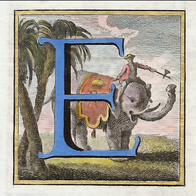 Capolettera : E (Elefante)
