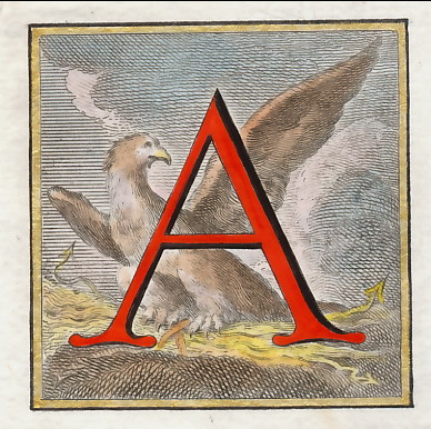 Capolettera : A (Aquila)