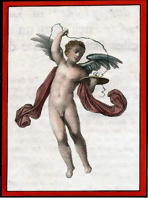 Cherub