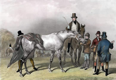 Steeple Chase, Plate 1: "What About the Grey"