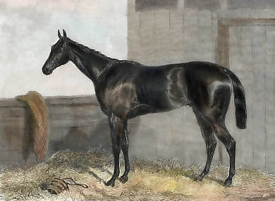 Van Tromp, Winner of the St. Leger, 1847