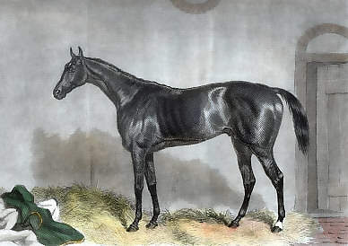 Blue Gown, Winner of the Derby, 1868