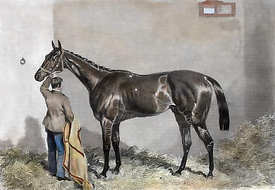 Newminster, Winner of the St. Leger, 1851
