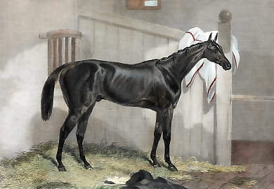 Mounseer, Winner of the Chester Cup, 1850