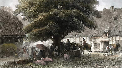 Souvenirs Du Marché De Touques, Normandie