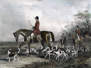 Here Come the Hounds