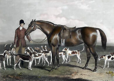 The Whaddon-Chase Hounds, the Property of W. Selby Lowndes, Esq.