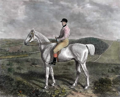 Robert D&acute;Oyly, Esq. On Fugleman