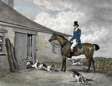 T. J. Phillipps Esq.