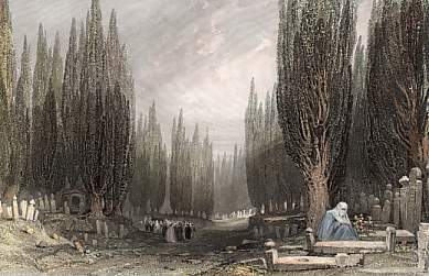 The Great Cemetery of Scutari