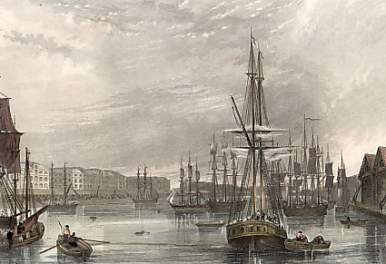 West India Dock, Import