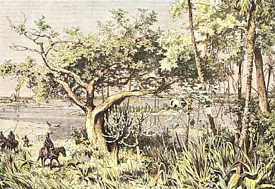 Vue Prise Sur Les Bords Du Chari