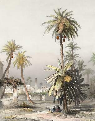 Garten in Alexandrien Mit Der Pompejus Säule