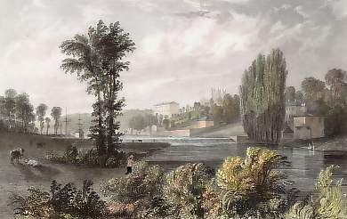 View on the River Exe , Near Exeter