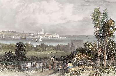 Powderham Park, Exmouth