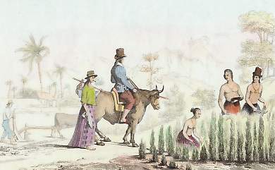 Travaux D´Agriculture