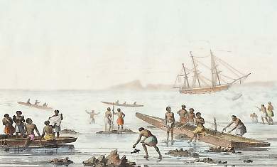 Pirogues Des Naturels Naviguant Au Milieu Des Récifs