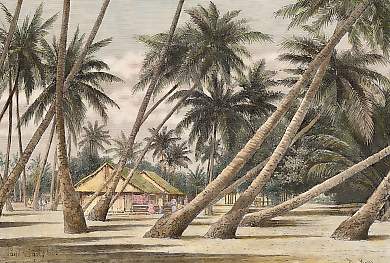 Paysage Des Iles Tuamotou