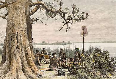 Paysage Du Zambèze, Vue Prise Au Confluent Du Tchobé