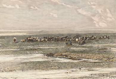 Vue Prise Sur La Baie De Walvisch