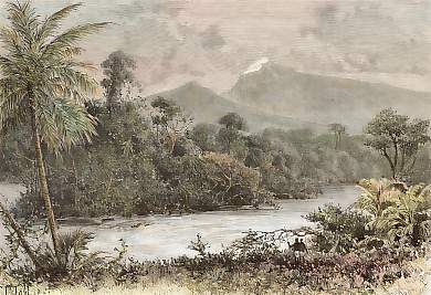 Vue Prise Au Pied De La Montagne De Kameroun