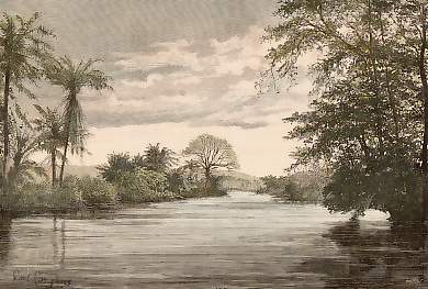 Vue Prise Sur Les Bords Du Rio Dandé