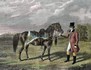 25618_wm